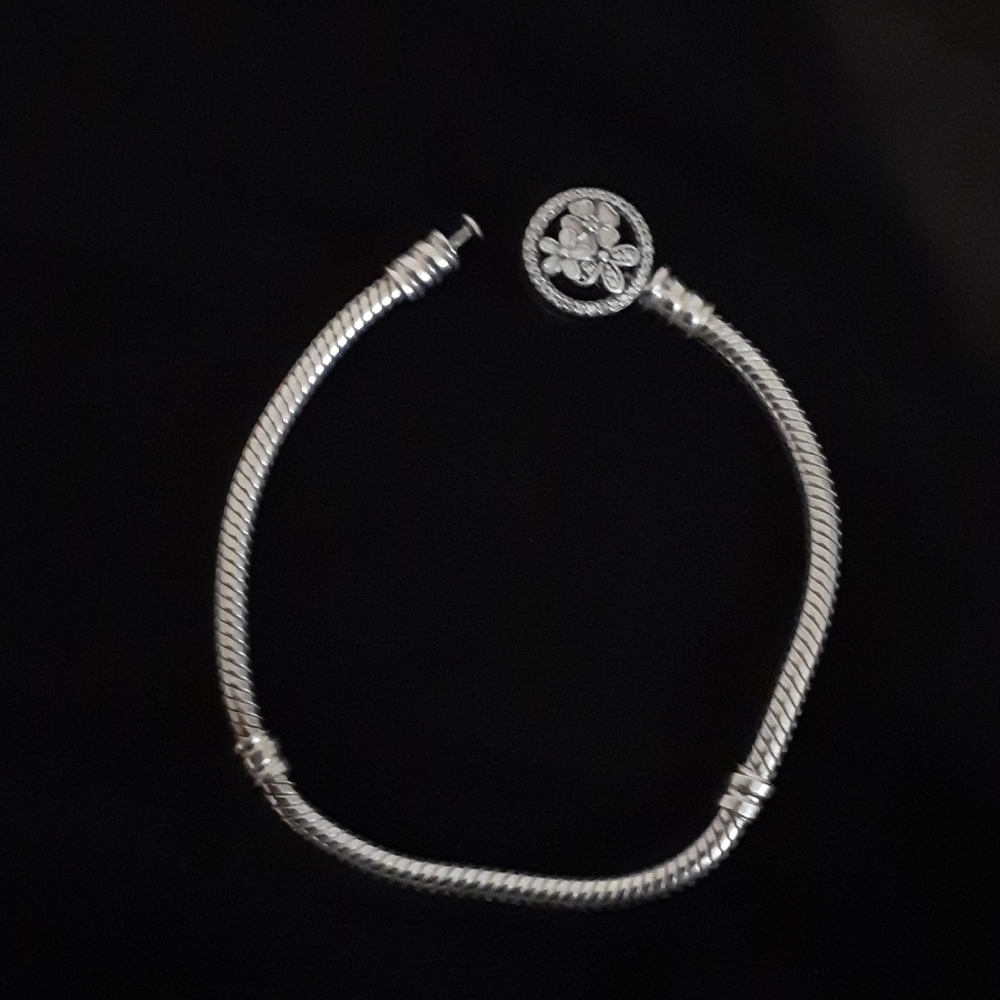 Pandora  Bracelet
